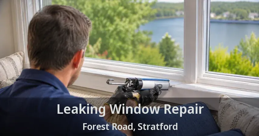 Leaking Window Repair Forest Road, Stratford - ON