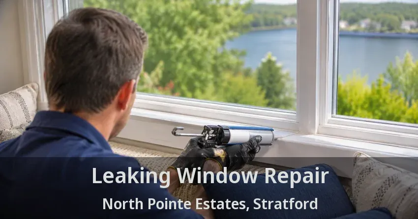 Leaking Window Repair North Pointe Estates, Stratford - ON
