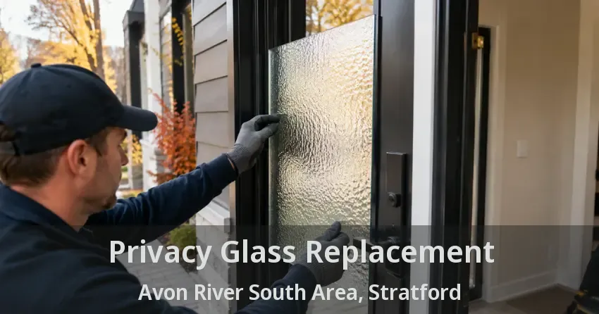 Privacy Glass Replacement Avon River South Area, Stratford - ON