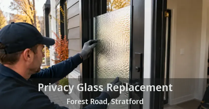 Privacy Glass Replacement Forest Road, Stratford - ON